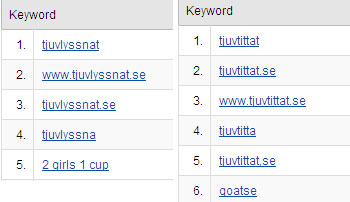 Googla tjuvtittat tjuvlyssnat